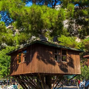 uygunluğu kontrol et